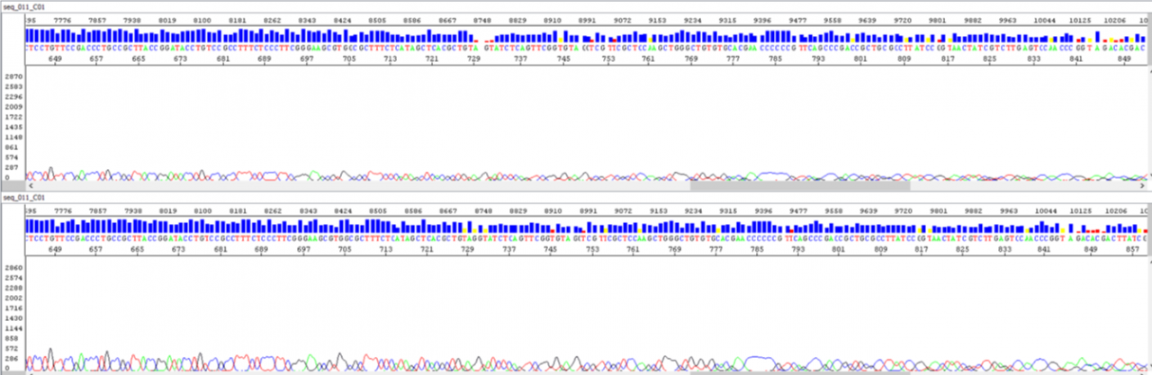 PwrPOP™ Polymers - AdvancedSeq